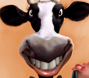 Cow's detail