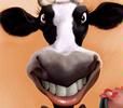 Cow's detail