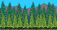 arbresNO_1440x770-B.jpg