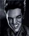 elvis.jpg